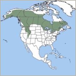 Canada Lynx Range