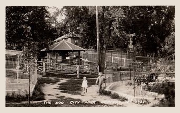 Vintage Zoo Photo